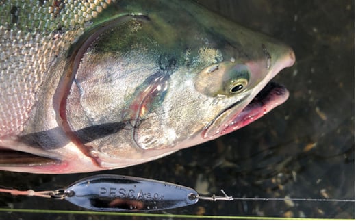 PESCA トラウトルアー ふるさと納税限定カラー3個セット（6.5g） | 埼玉県 草加市 1932年創業 高い金属加工技術 アングラーの理想を高次元で実現 ルアー 釣り フィッシング  限定品 魚釣り ルアー 工芸品 職人 便利 シンプル カラー 