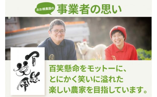 【先行予約】【10月中旬～11月末までの発送品！】【普通栽培】紅はるか 生さつまいも(10kg) 【サツマイモ 芋 おいしい べにはるか 新鮮 朝採れ お得 焼き芋 天ぷら さつま芋】（KAG-37）