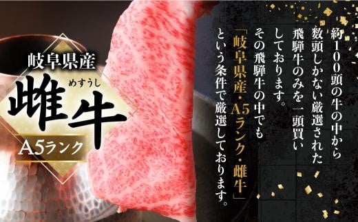 A5飛騨牛 赤身サイコロステーキ 300g A5等級  焼肉  ステーキ ブランド牛 黒毛和牛 部位おまかせ 贈答 熨斗 のし ステーキ肉 プレゼント 天狗総本店 日付指定不可 飛騨高山BP002