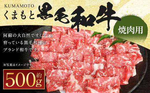 くまもと 黒毛和牛 焼肉用 約500g