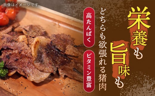 【3回定期便】ジビエ 天然イノシシ肉 角切り肉 800g（カレー・シチュー）【照本食肉加工所】 [OAJ061] / 猪 猪肉 いのしし肉 イノシシ イノシシ肉 ジビエ いのしし 長崎県猪 川棚町産猪 ぼたん鍋用いのしし 九州産イノシシ じびえ ジビエ ジビエ肉