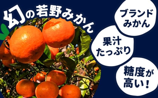 赤秀 若野みかん 約5kg サイズ無選別 圦本悟農園《12月上旬-2月中旬頃出荷》和歌山県 日高川町 旬 新鮮 果物 柑橘 フルーツ 国産 送料無料 ミカン みかん 温州みかん