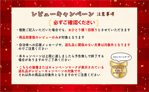 ＜定期便　Gaivota2箱（2L×12本）×６回＞北のハイグレード食品 天然シリカ水 シリカ水 ミネラルウォーター シリカウォーター 軟水  北海道 乙部町 天然水 美容 ケイ素 無添加  シリカ ガイヴォータ 美肌 ミネラル リピーター 6か月 備蓄 災害用 非常用