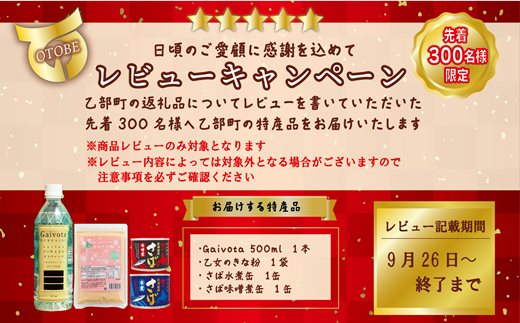 ＜定期便　Gaivota2箱（2L×12本）×６回＞北のハイグレード食品 天然シリカ水 シリカ水 ミネラルウォーター シリカウォーター 軟水  北海道 乙部町 天然水 美容 ケイ素 無添加  シリカ ガイヴォータ 美肌 ミネラル リピーター 6か月 備蓄 災害用 非常用