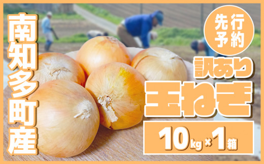 【先行予約 5～6月出荷】 訳あり 玉ねぎ 10kg(1箱)  野菜 オニオン 甘い 玉葱 肉じゃが ハンバーグ 家庭用 大きさ不揃い 先行予約 