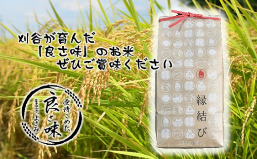 No.339 お米の食べ比べ定期便　11月～（1箱6kg×5ヶ月） ／ 精米 甘味 食卓 愛知県