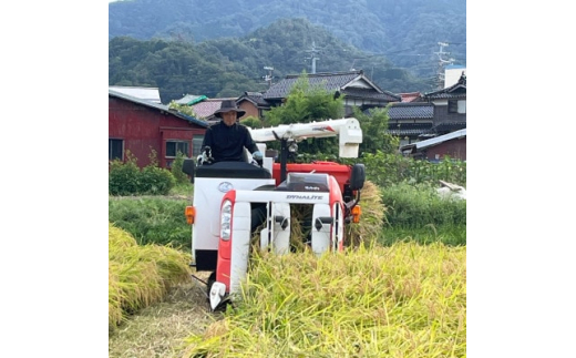 ＜令和6年産＞特別栽培米　新温泉町浜坂産　松岡農園のコシヒカリ　5kg