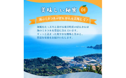 【先行予約】訳アリ完熟小玉ぽんかん＜10kg＞ 国産 東洋町産 訳あり 甘い コク ジューシー 蜜柑 ミカン 果肉 高知県 東洋町 四国 お取り寄せ フルーツ 果物 家庭用 自宅用 送料無料 産地直送 F126