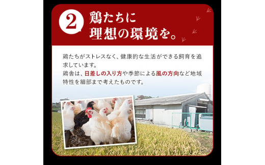 はかた一番どり 手羽元 4500g 合計4.5kg 約300g×15パック《30日以内に出荷予定(土日祝除く)》 大容量 鶏肉 鳥肉 冷凍 株式会社あらい