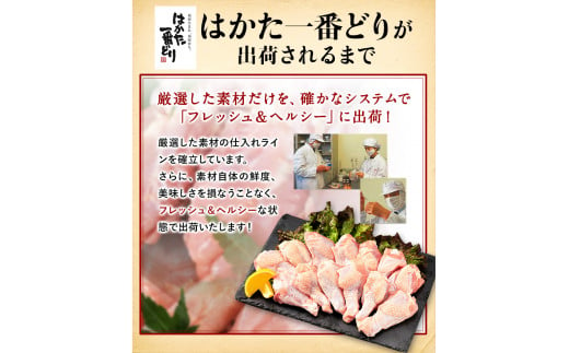 はかた一番どり 手羽元 4500g 合計4.5kg 約300g×15パック《30日以内に出荷予定(土日祝除く)》 大容量 鶏肉 鳥肉 冷凍 株式会社あらい