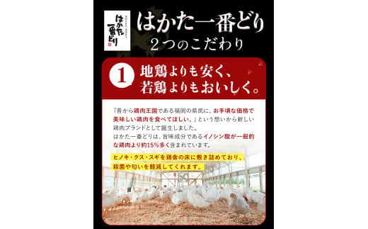 はかた一番どり 手羽元 4500g 合計4.5kg 約300g×15パック《30日以内に出荷予定(土日祝除く)》 大容量 鶏肉 鳥肉 冷凍 株式会社あらい