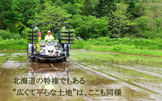 ＜北海道の米（１０kg）～もっちり柔らか！若い農家が作る新米～＞米 国産米 北海道 道産 道産米