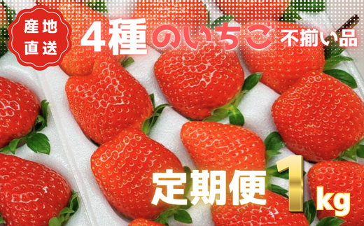 あま～い完熟いちご！【不揃い】1000g(1kg)×3か月定期便　