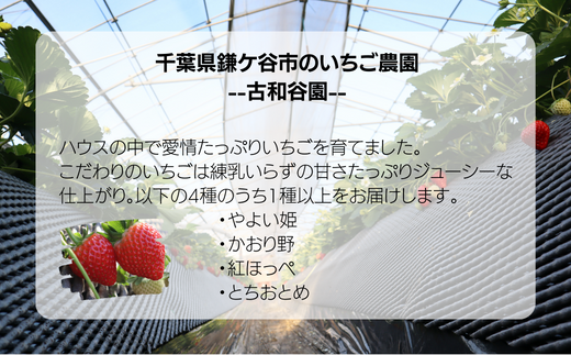 あま～い完熟いちご！【不揃い】1000g(1kg)×3か月定期便　