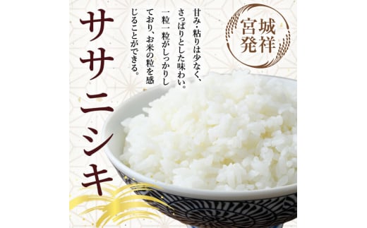 【令和6年産】＜3か月定期便＞特別栽培米 ひとめぼれ/ササニシキ/つや姫 合計15kg (5kg×3回)お米 おこめ 米 コメ 白米 ご飯 ごはん おにぎり お弁当 頒布会【農事組合法人若木の里】ta257