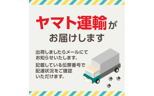 染の里おちあい　御朱印帳　江戸更紗丸紋(紫)