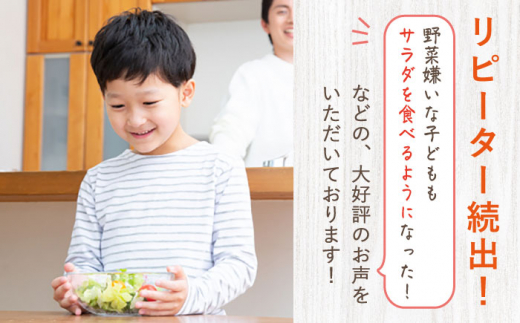 【12回定期便】スムージー専門店が作った「美味しすぎるドレッシング」 3本セット （玉ねぎ・人参・ごぼう 各300ml）【ビタミン・スタンド】 [OAK016] / 調味料 肉料理 魚料理 ソース カルパッチョ 南蛮漬け タルタルソース サラダ 主婦