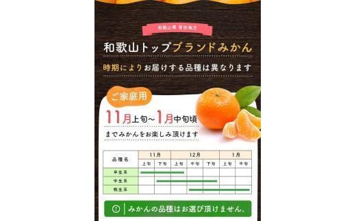 【先行予約】有田育ちのご家庭用 完熟有田みかん6kg【2024年11月上旬より発送】【訳あり】