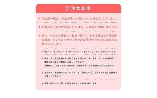 【先行予約】有田育ちのご家庭用 完熟有田みかん6kg【2024年11月上旬より発送】【訳あり】