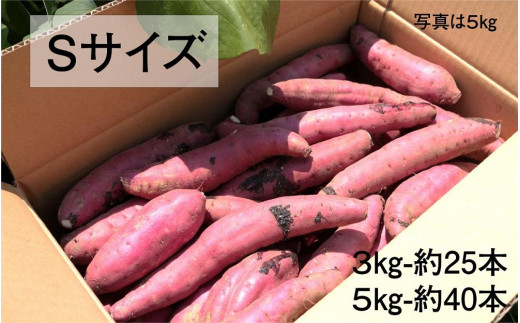 さつまいも 紅はるか 堀りたて 5kg ( 1箱 ) Sサイズ  新物 鹿児島県産 2024年12月末までに出荷