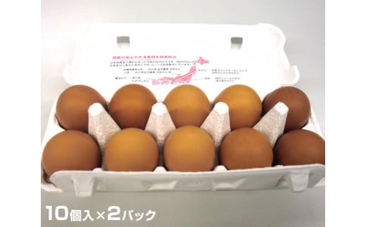 No.193 タナカファームの卵　喜味の鶏子 ／ 生卵 たまご タマゴ 安心 大阪府 特産品