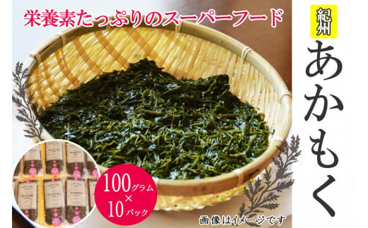 紀州あかもく［由良町産］100g×10パック（2024年産）【SL12】