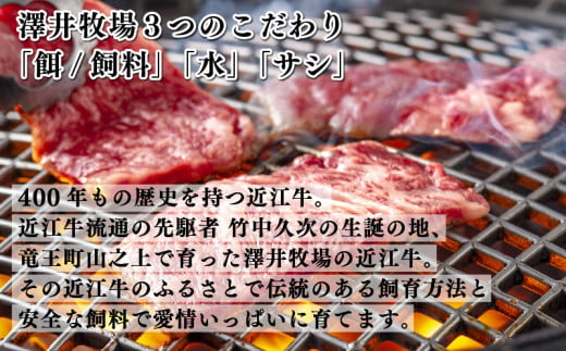  近江牛 サイコロ ステーキ 500g 冷凍 黒毛和牛 和牛 牛肉 和牛 牛 ふるさと納税 和牛 ブランド 和牛 三大和牛 贈り物 和牛 ギフト 国産 滋賀県 竜王町 澤井牧場 神戸牛 松阪牛 に並ぶ 日本三大和牛