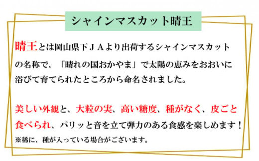 シャインマスカット 晴王 約600g ×1房