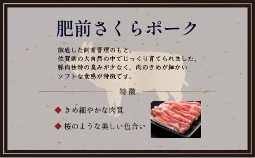 佐賀県産 厳選 焼肉6種盛り合わせ 1kg (4～5人前)／サイコロ 霜降り 日本産 国産 黒毛和牛 焼肉 ステーキ 厚切り やわらかい ビーフ ギフト 贈り物 お中元 お歳暮 プレゼント 贈答用 厳選 部位