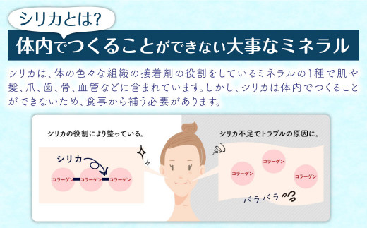 【3ヶ月定期便】阿蘇くじゅうの天然水 525ml PET 48本 (24本×2ケース)×3ヶ月 シリカ水 軟水 ラベルレス