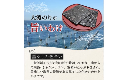 兵庫加古川産 一番摘み【新海苔】乾のり特上[2025年1月より順次発送]《のり 海苔 一番摘み 期間限定》【2402D01304】