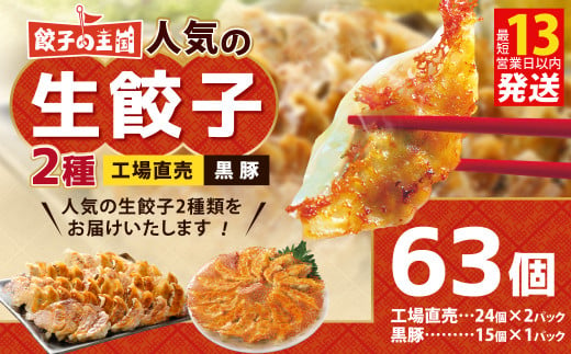 餃子の王国 人気の生餃子 2種 63個