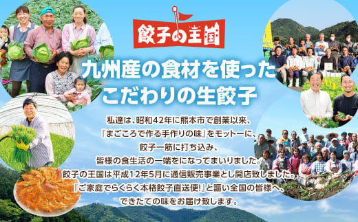 餃子の王国 人気の生餃子 2種 63個