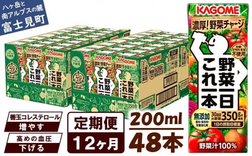 【定期便 12ヶ月】 カゴメ 野菜一日これ一本 48本×12回 【 野菜ジュース 紙パック 定期便 1日分の野菜 野菜100％ 飲料類 ドリンク 備蓄 長期保存 防災 無添加 砂糖不使用 甘味料不使用 食塩不使用 栄養強化剤不使用 かごめ kagome KAGOME 長野県 富士見町 】