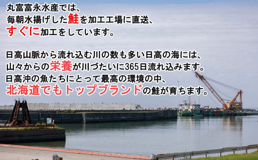 北海道産 網元 特製 いくら 醤油漬け ＆ 塩いくら 計 400g ( 各 200g ) イクラ 塩漬け 鮭 サケ 魚卵