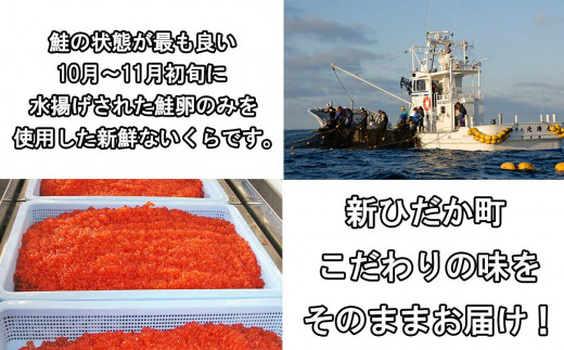 北海道産 網元 特製 いくら 醤油漬け ＆ 塩いくら 計 400g ( 各 200g ) イクラ 塩漬け 鮭 サケ 魚卵