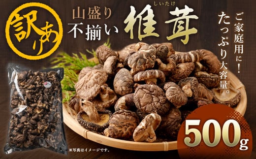 山盛り 不揃い 椎茸 500g 訳あり 乾燥椎茸 きのこ 茸