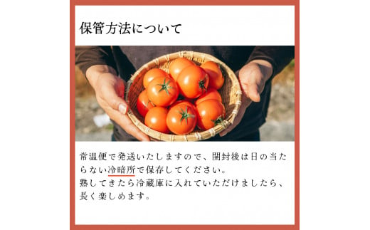 【5回定期便】 訳あり フルーツトマト 原田農園 1.8kg （12月下旬～5月頃発送）＜2024年12月下旬頃より発送＞＜毎年12月上旬頃まで申込受付＞