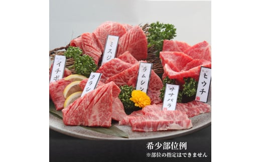 近江牛 焼肉 特上 盛り合わせ 480g 冷凍 シャトーブリアン A4 A5 ( 近江牛 サーロイン フィレ ヘレ 希少部位 ミスジ クラシタ イチボ ヒウチ ササバラ ラムシン 等 赤身 和牛 近江牛 黒毛和牛 ブランド 牛肉 近江牛 贈り物 ギフト 国産 滋賀県 近江牛 竜王町 岡喜 霜降り 神戸牛 松阪牛 に並ぶ 日本三大和牛 ふるさと納税 母の日 父の日 )