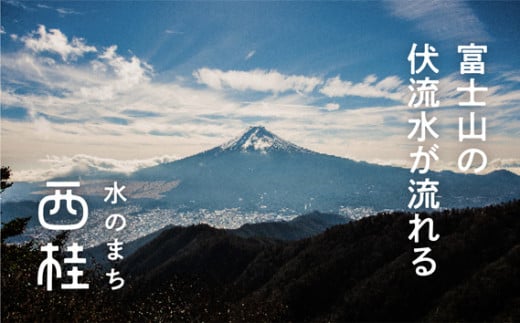 水 富士山麓 四季の水 500ml 24本入×2ケース 計48本 富士山 の 天然水 を使用 ミネラルウォーター 【賞味期限:2年】 お水 軟水 飲料 飲料水 ペットボトル 生活必需品 消耗品 備蓄 備蓄品 備蓄水 防災用品 防災品 防災 災害対策 非常用 人気 まろやか おいしい 山梨県 西桂町