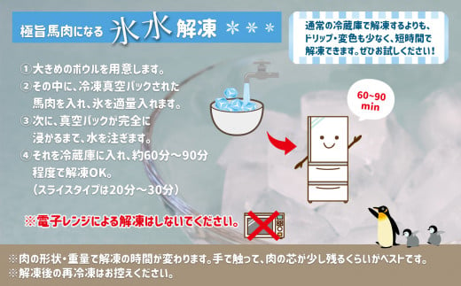 国内肥育 熊本発送 馬刺し 赤身 500g 馬刺し醬油・生姜付き  | 熊本県 熊本 くまもと 和水町 なごみまち なごみ 馬肉 馬刺し 赤身 冷凍 500g