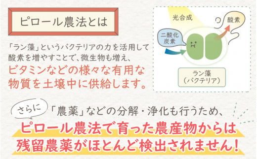 【令和6年産 新米】【3ヶ月定期便】ミネラル豊富！弱アルカリ性のピロール米 ミルキークイーン 玄米 10kg（5kg×2袋）×3回 計30kg　化学肥料5割以下・減農薬