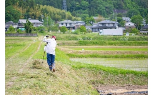 草刈り代行作業（1平方メートル～50平方メートル）