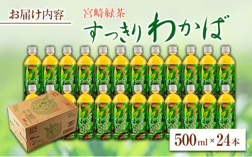 宮崎緑茶 すっきりわかば 500ml×24本 ペットボトル サンA