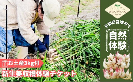 京都府産 生姜 収穫体験 チケット 新生姜 お土産3kg付 栽培期間中 農薬 化学肥料 除草剤不使用[№5716-0636]