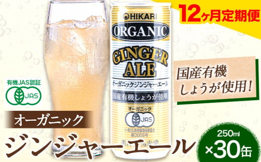 【12ヶ月定期便】 ジンジャーエール 250ml×30缶 光食品株式会社 定期 計12回お届け 《お申込み月の翌月から出荷開始》 徳島県 上板町 ジュース 炭酸水 光食品 ジンジャーエール オーガニック 有機