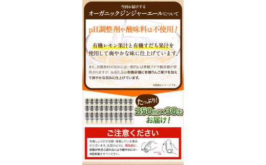 【12ヶ月定期便】 ジンジャーエール 250ml×30缶 光食品株式会社 定期 計12回お届け 《お申込み月の翌月から出荷開始》 徳島県 上板町 ジュース 炭酸水 光食品 ジンジャーエール オーガニック 有機