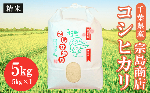 令和6年産　千葉県産 コシヒカリ（精米）5kg ふるさと納税 お米 5kg 千葉県産 白子町 コシヒカリ 米 精米 こめ 年越し おせち お餅 新年 お雑煮 送料無料 SHM001