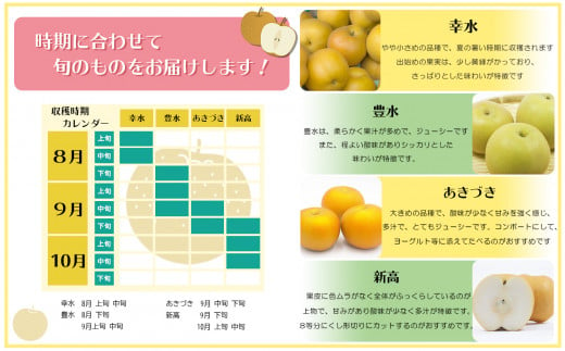 熊本県産 梨 約5kg | フルーツ 果物 くだもの ナシ なし 旬 熊本県 玉名市