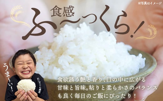 【令和6年産】みやぎ川崎産 ひとめぼれ 30㎏（玄米）【04324-0097】